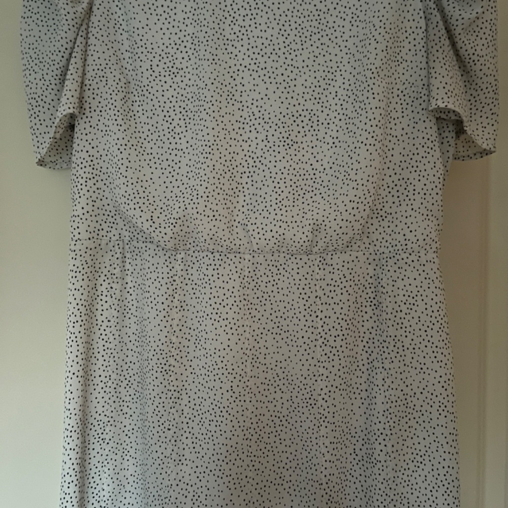 Short Dotted Dress - Picture 10 of 13